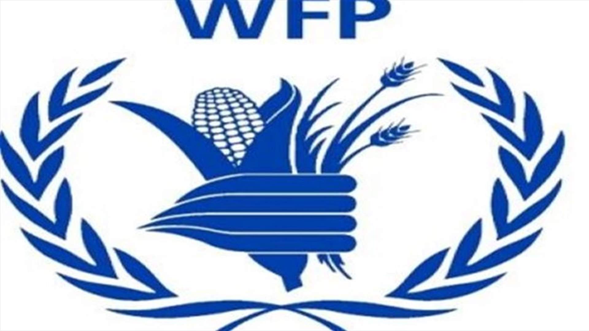 WFP suspending assistance program to Syrians