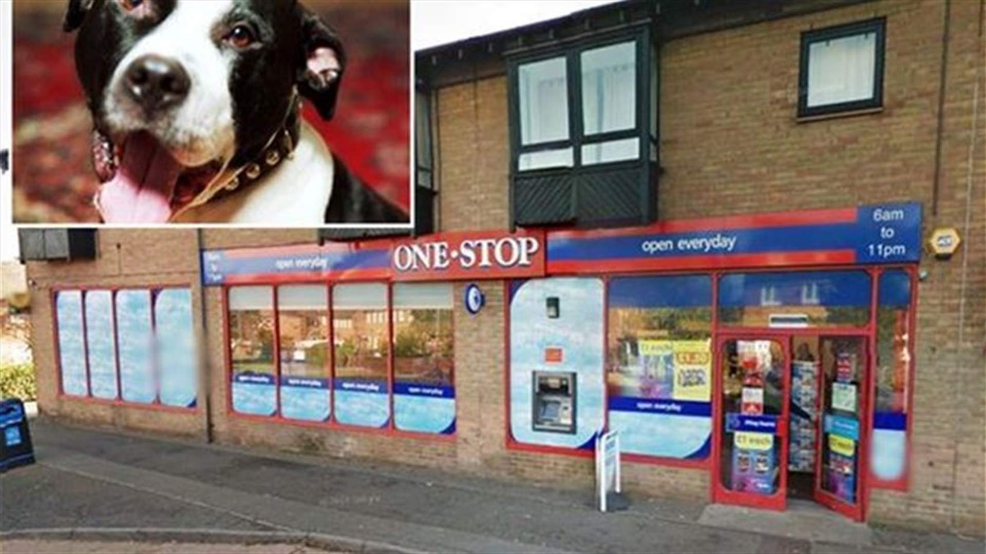 Drug-Crazed Man Dies After Biting Dog During Fight