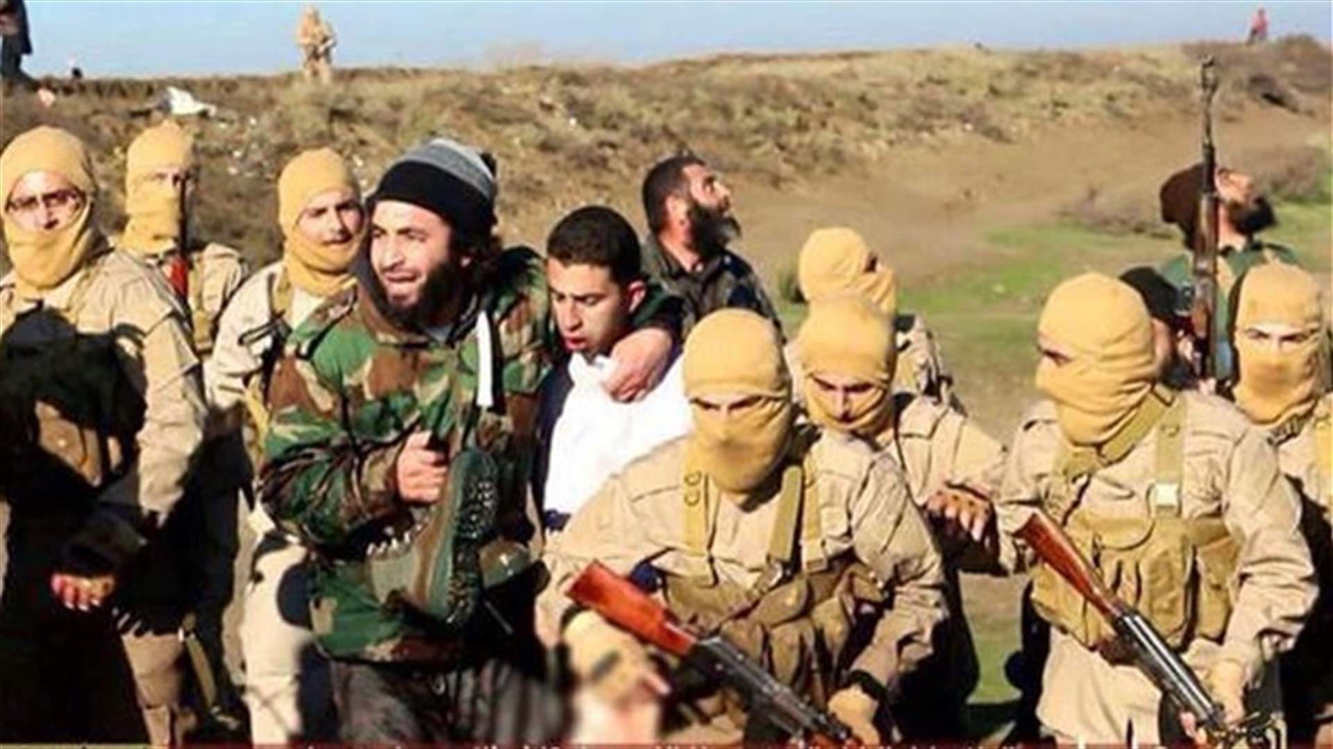 Islamic State captures Jordanian pilot after warplane comes down in Syria