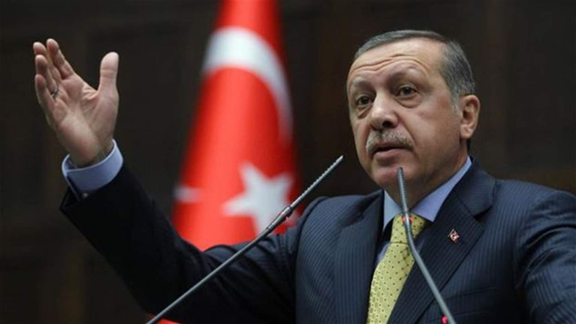 Turkish boy arrested for insulting Erdogan is freed pending trial - media