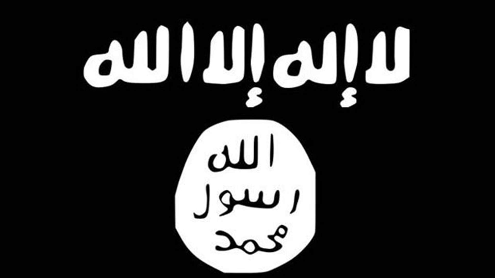 US coalition launches 18 air strikes against Islamic State -task force