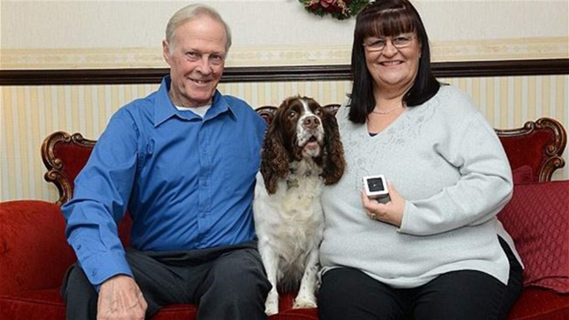 [PHOTOS] Family Dog Finds Precious Diamond During Day Out