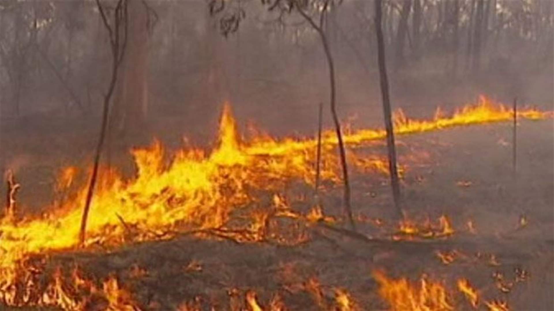 Two people missing and homes destroyed after fires sweep through South Australia