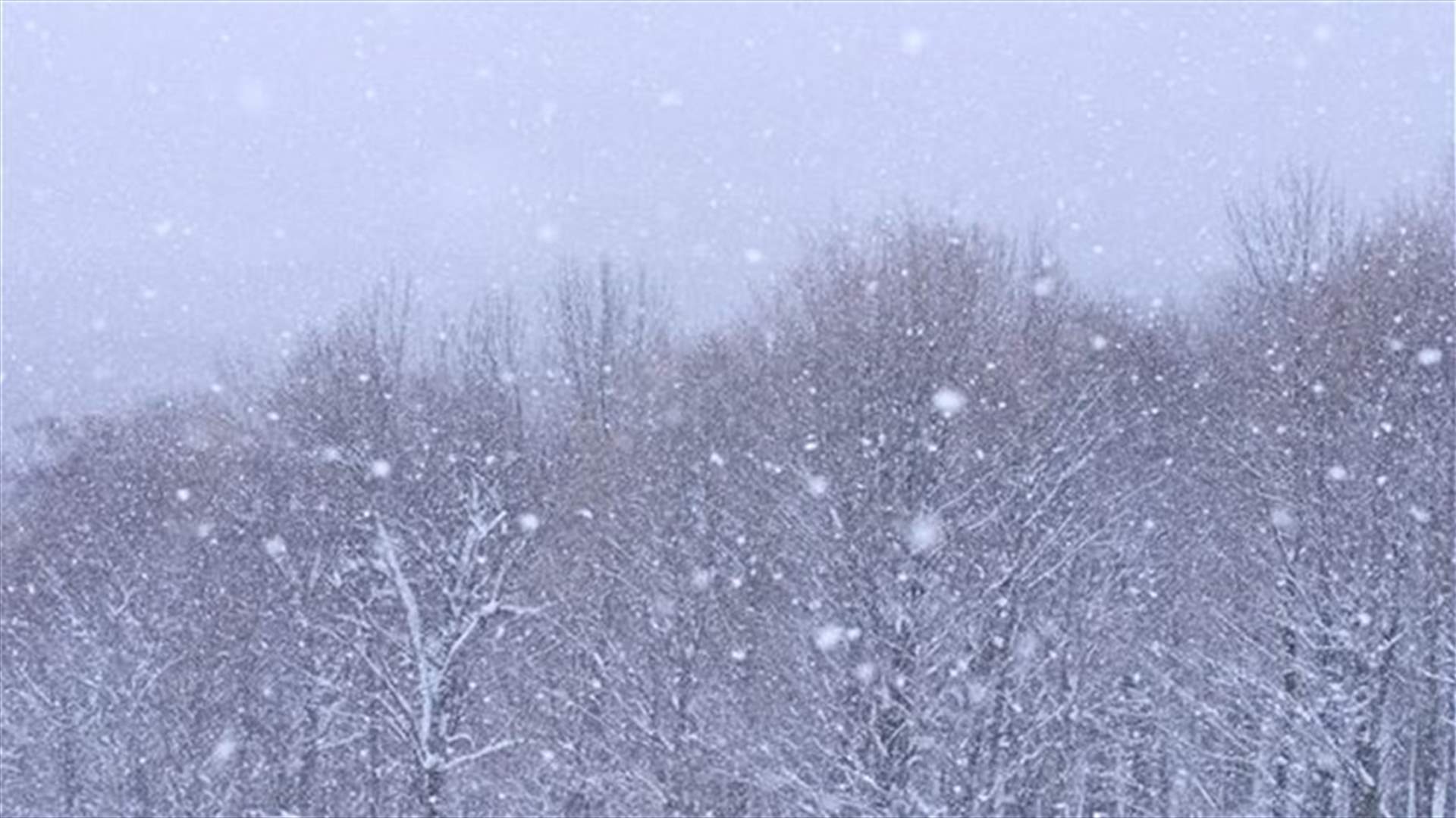 [PHOTOS] This What Snowflakes Look Like!