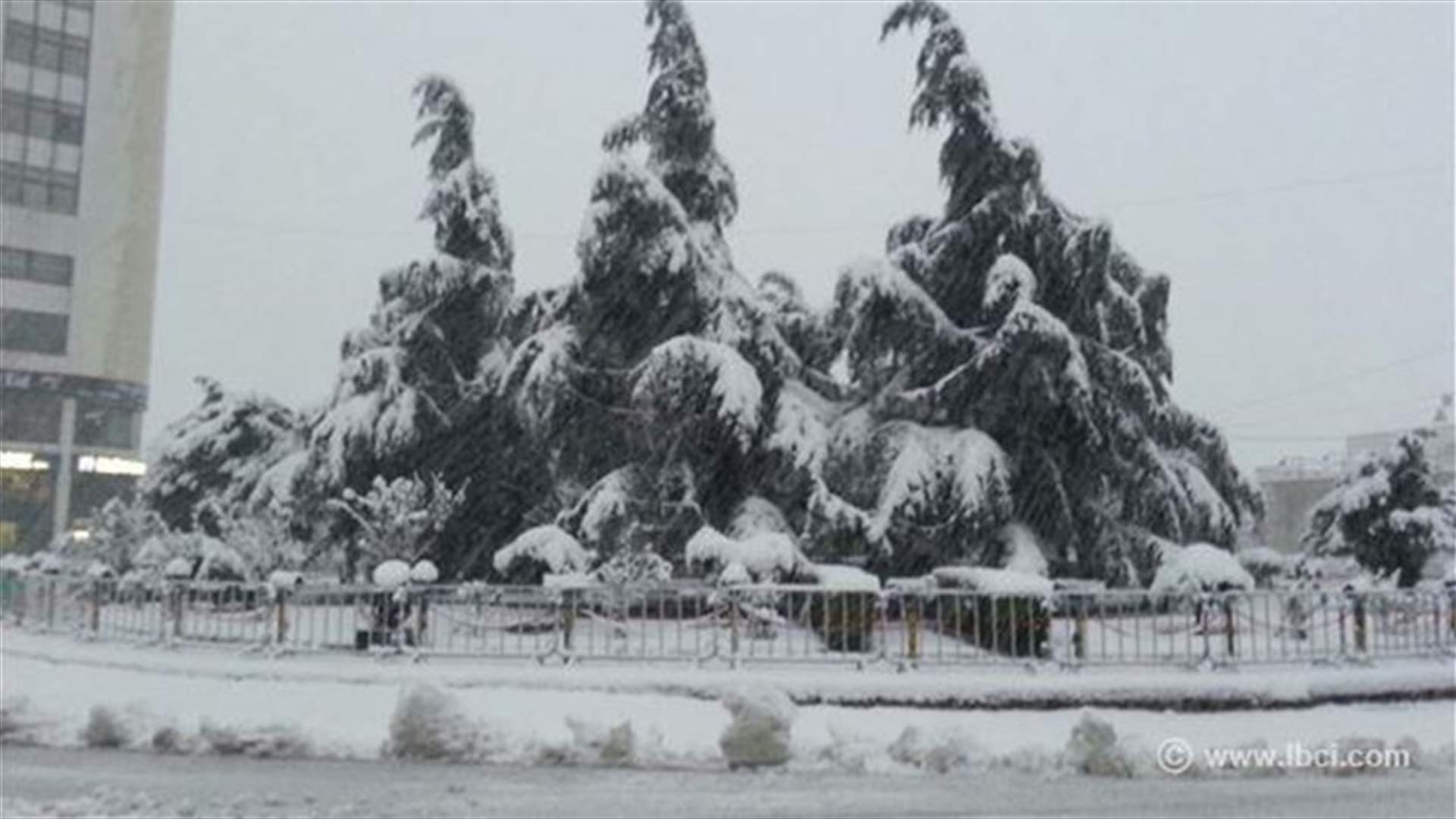 [VIDEO+PHOTOS] Snow and rain batter Lebanon, most mountain roads blocked 