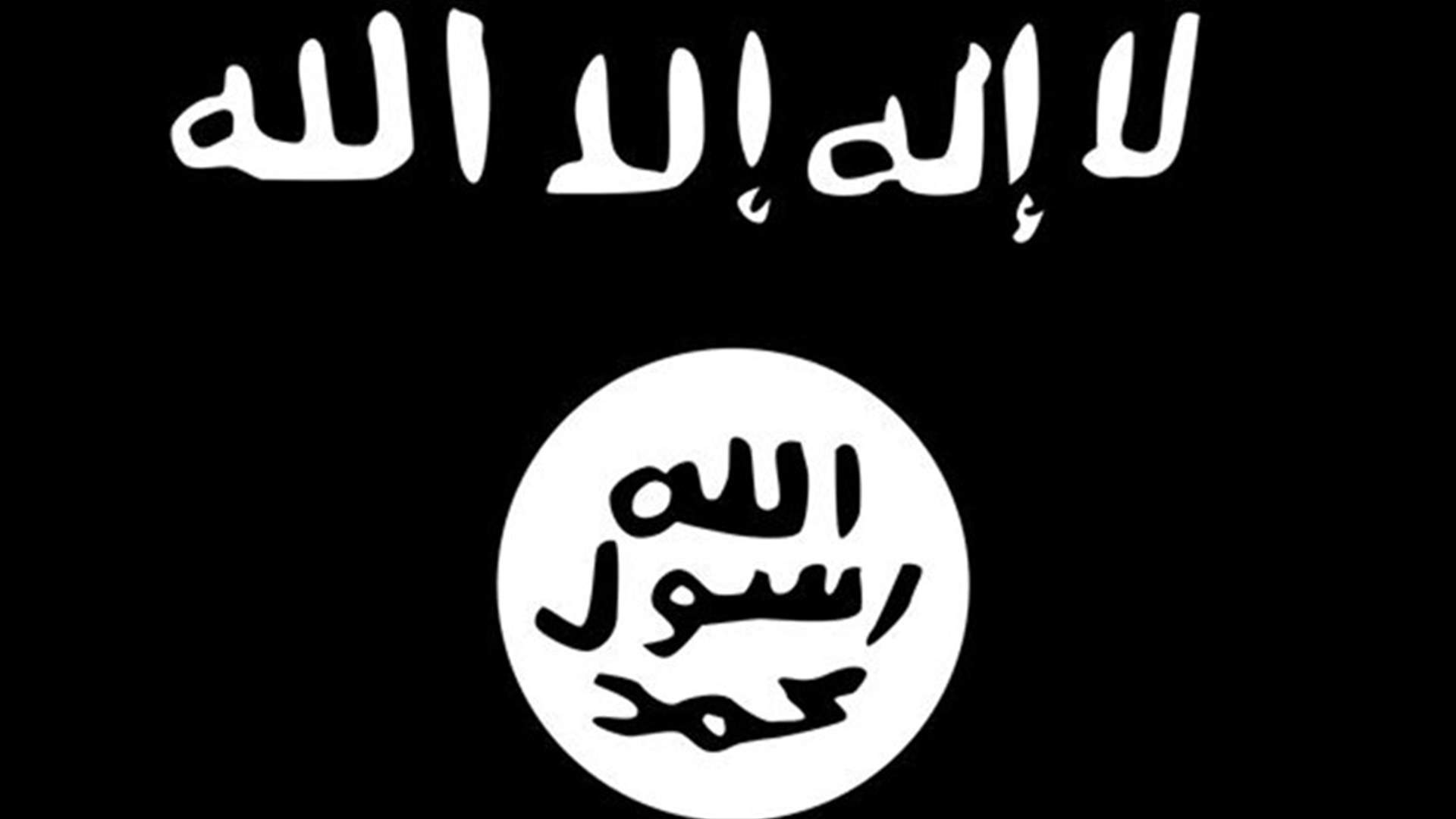 Islamic State fighter praises attack on Paris satirical magazine