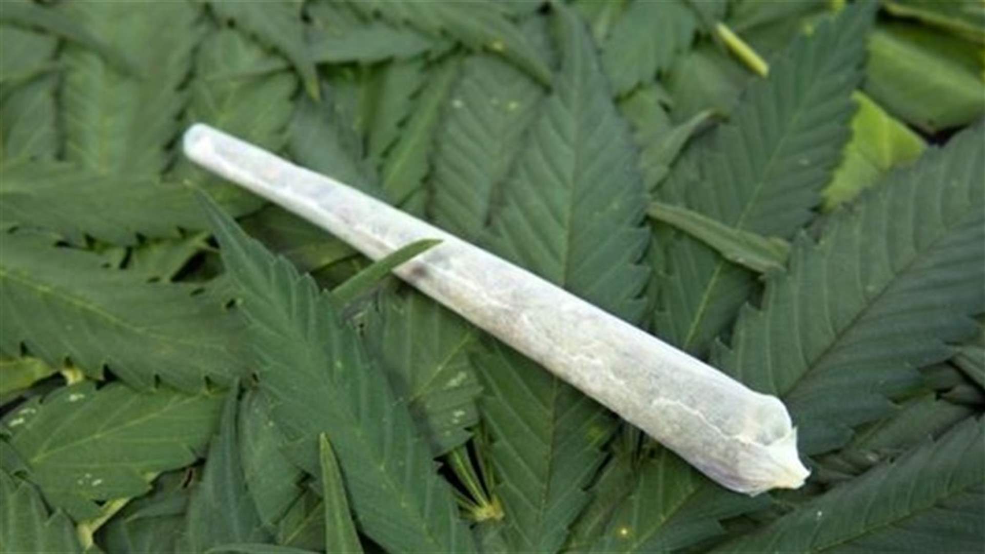 اتصل بضابط شرطة ليبيعه الماريغوانا