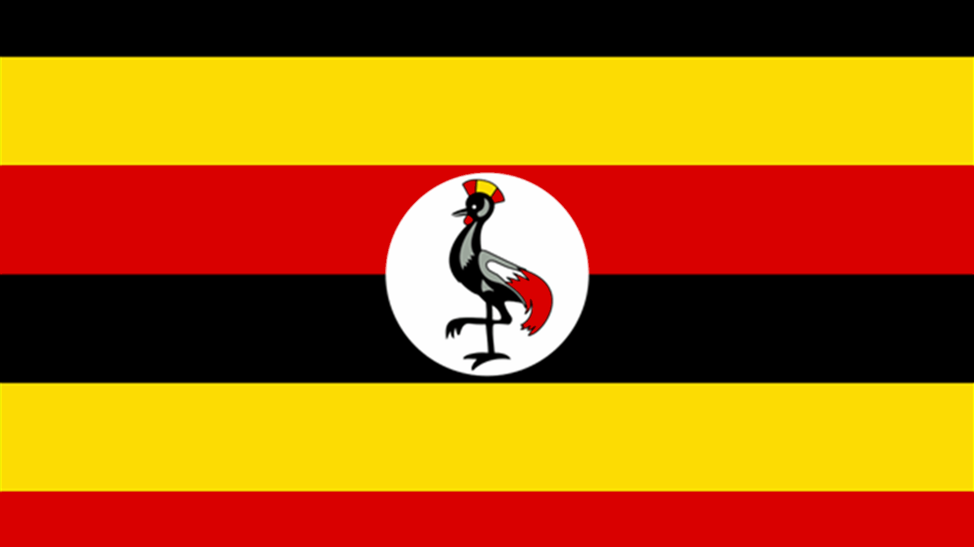 Uganda says rebel LRA commander to be handed to ICC