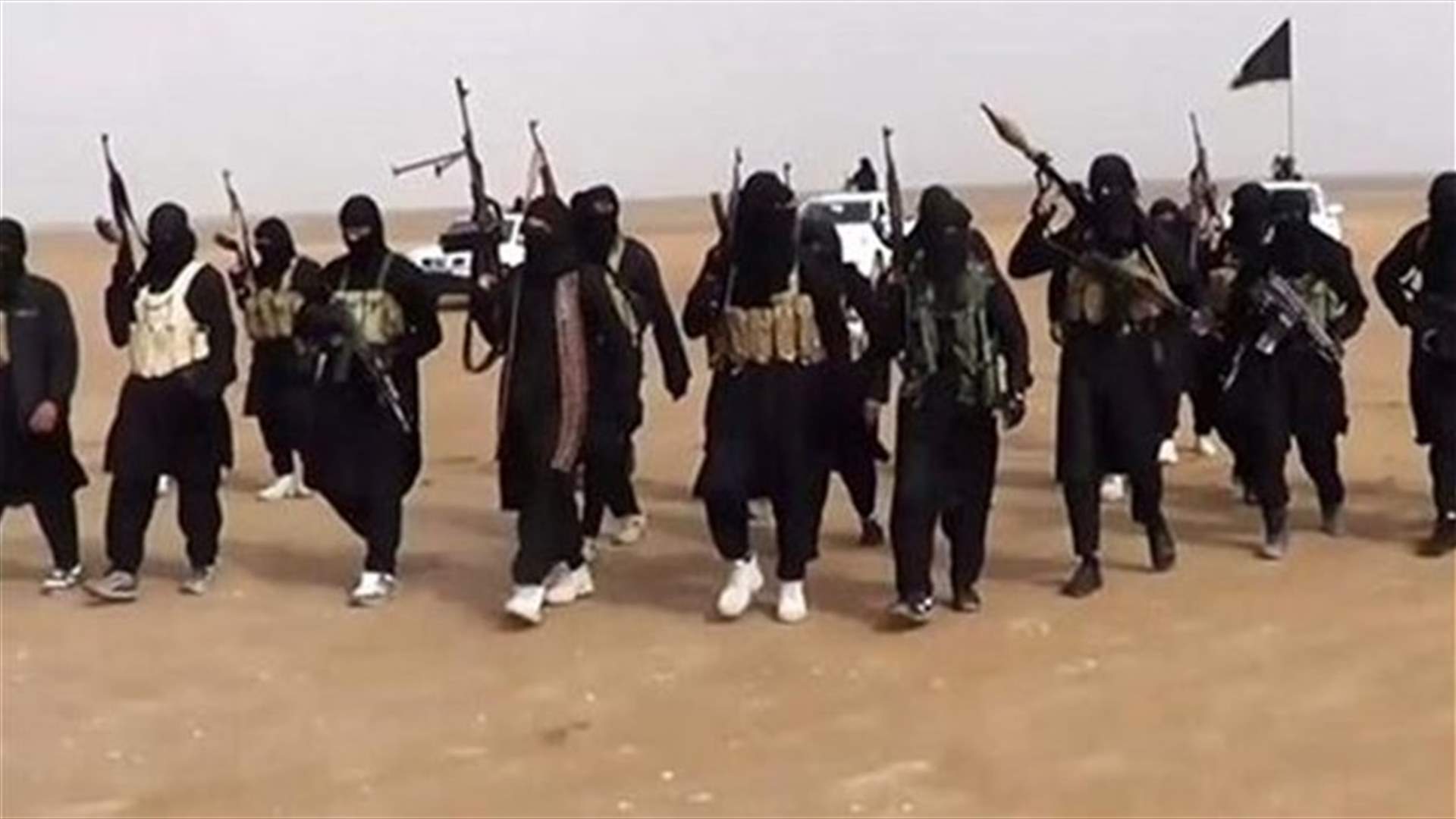 US-led air strike hit Islamic State fighters -task force