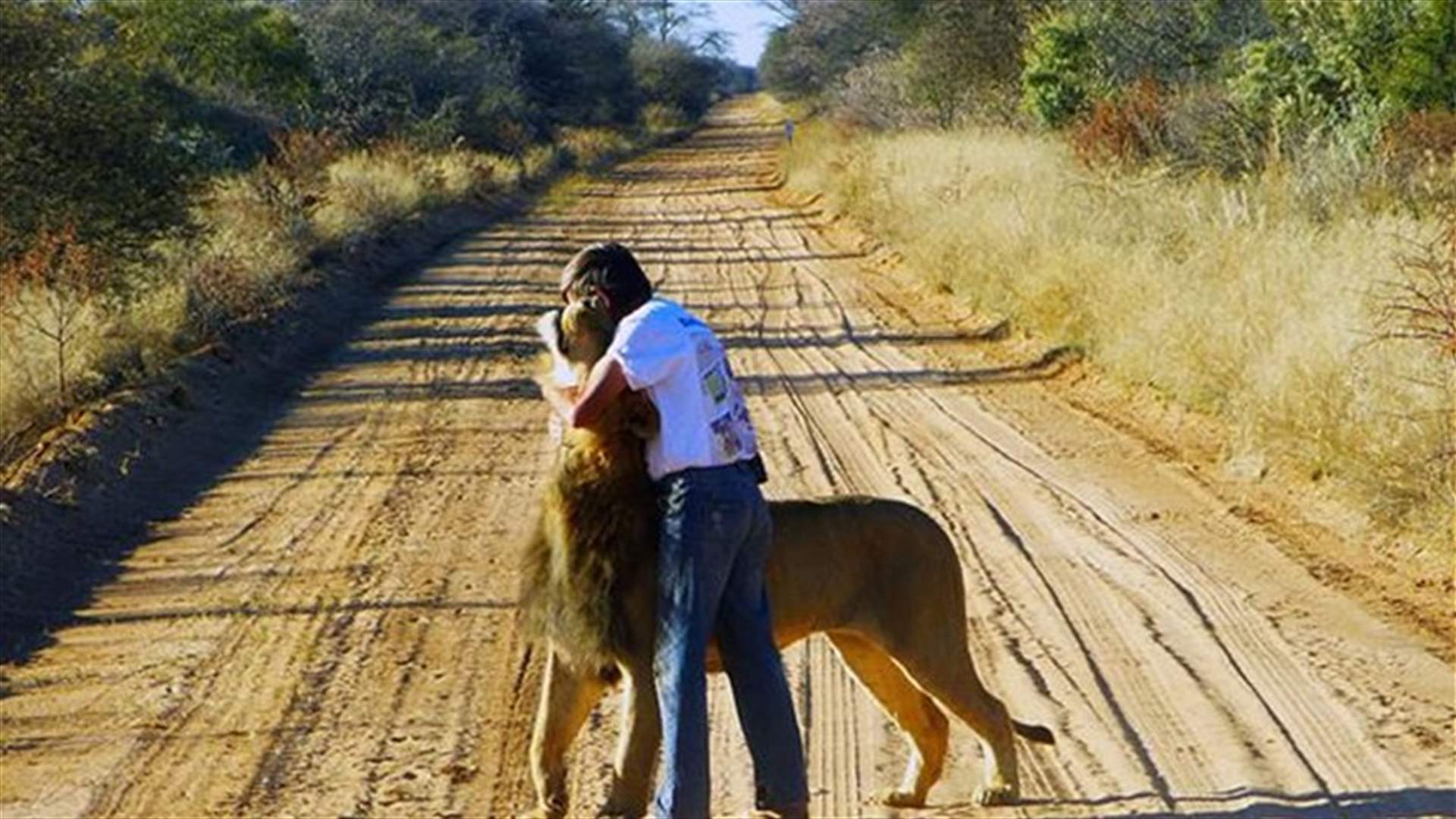 Man And Lion Have Been Best Friends For 11 Years