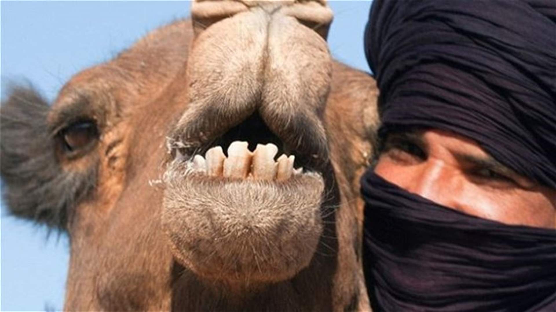 Man Dies After Camel Bites Him On The Head