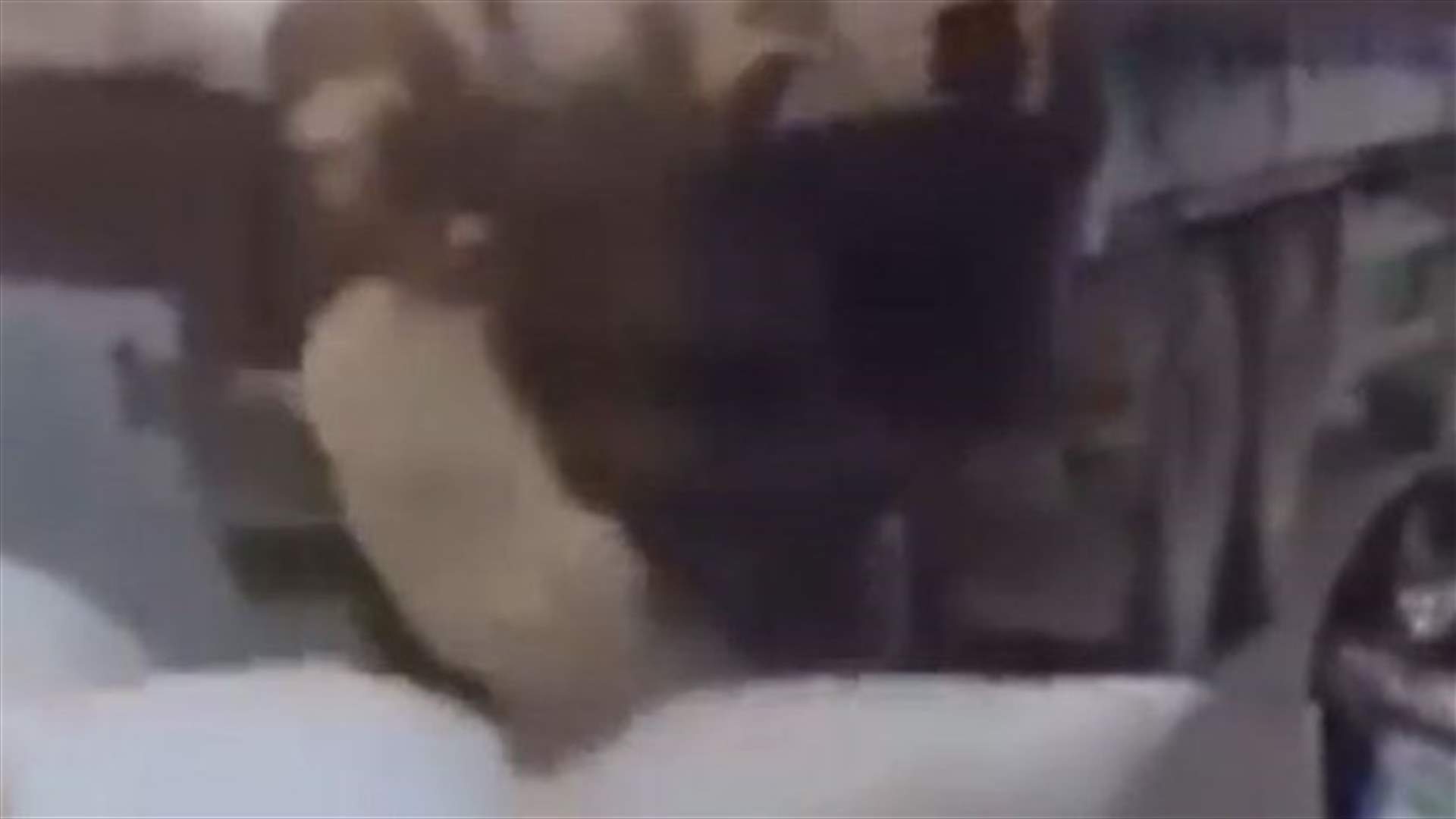 بالفيديو- اغنام تتساقط من الشاحنة على الطريق المؤدي الى بيروت