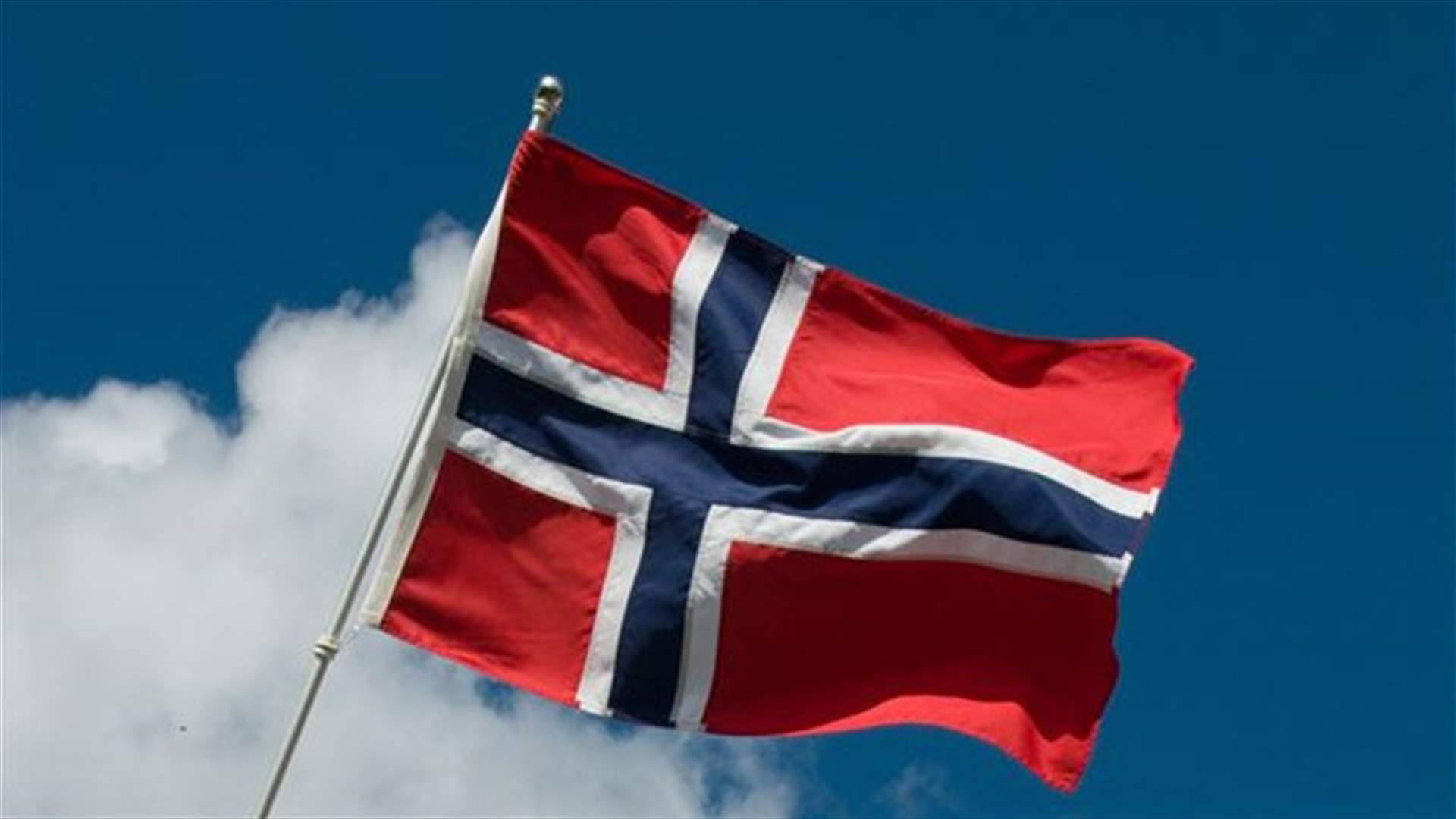 Norway finds first case of mad cow disease, says food safe