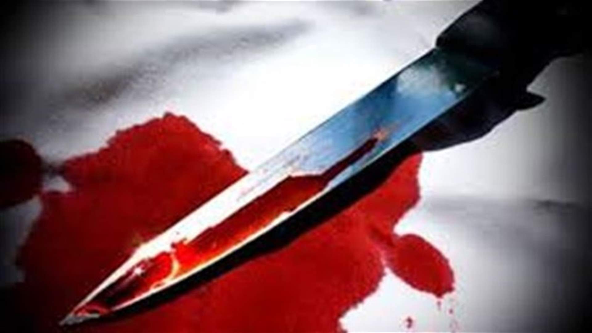 طعن الأم وابنتها في منزلهما في الضنية 