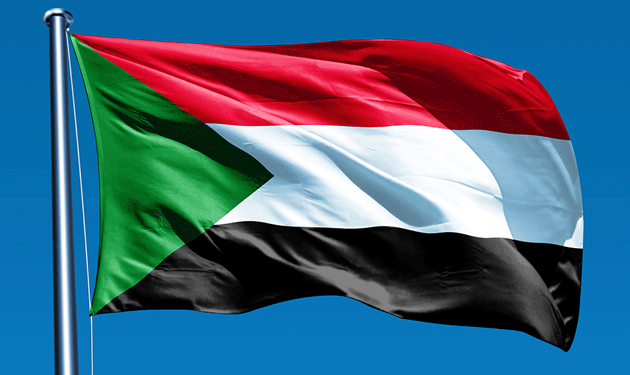 Sudan rebels free Bulgarian aid workers -ministry