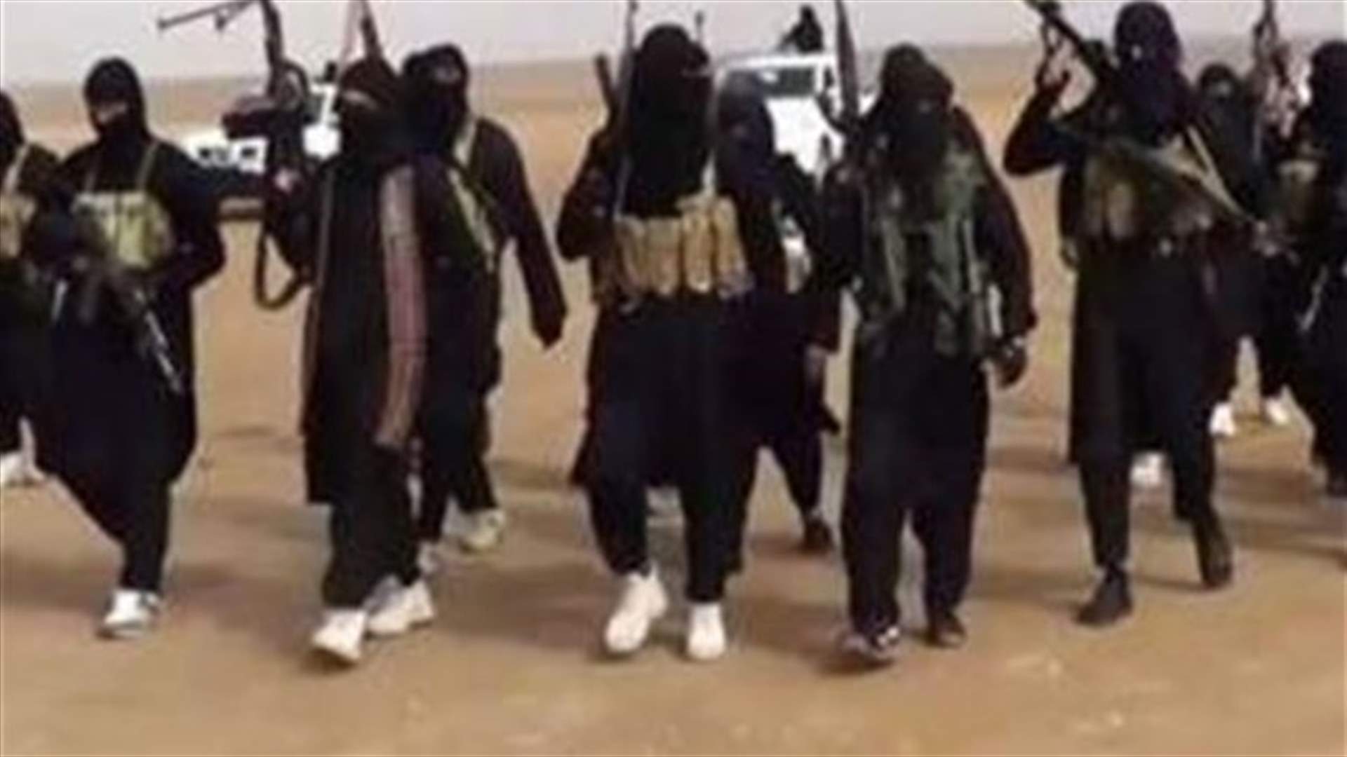 الامارات علقت الضربات الجوية ضد تنظيم "الدولة الاسلامية"
