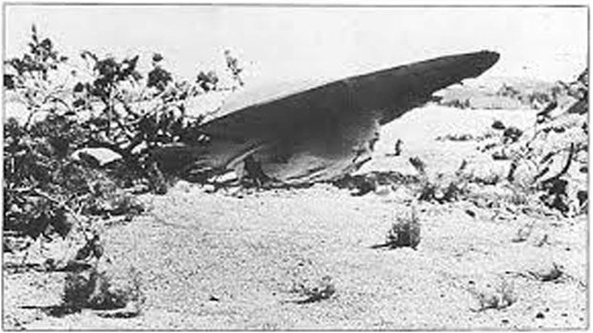 [VIDEO] Magazine Claims To Have Found Proof Of Aliens In Video