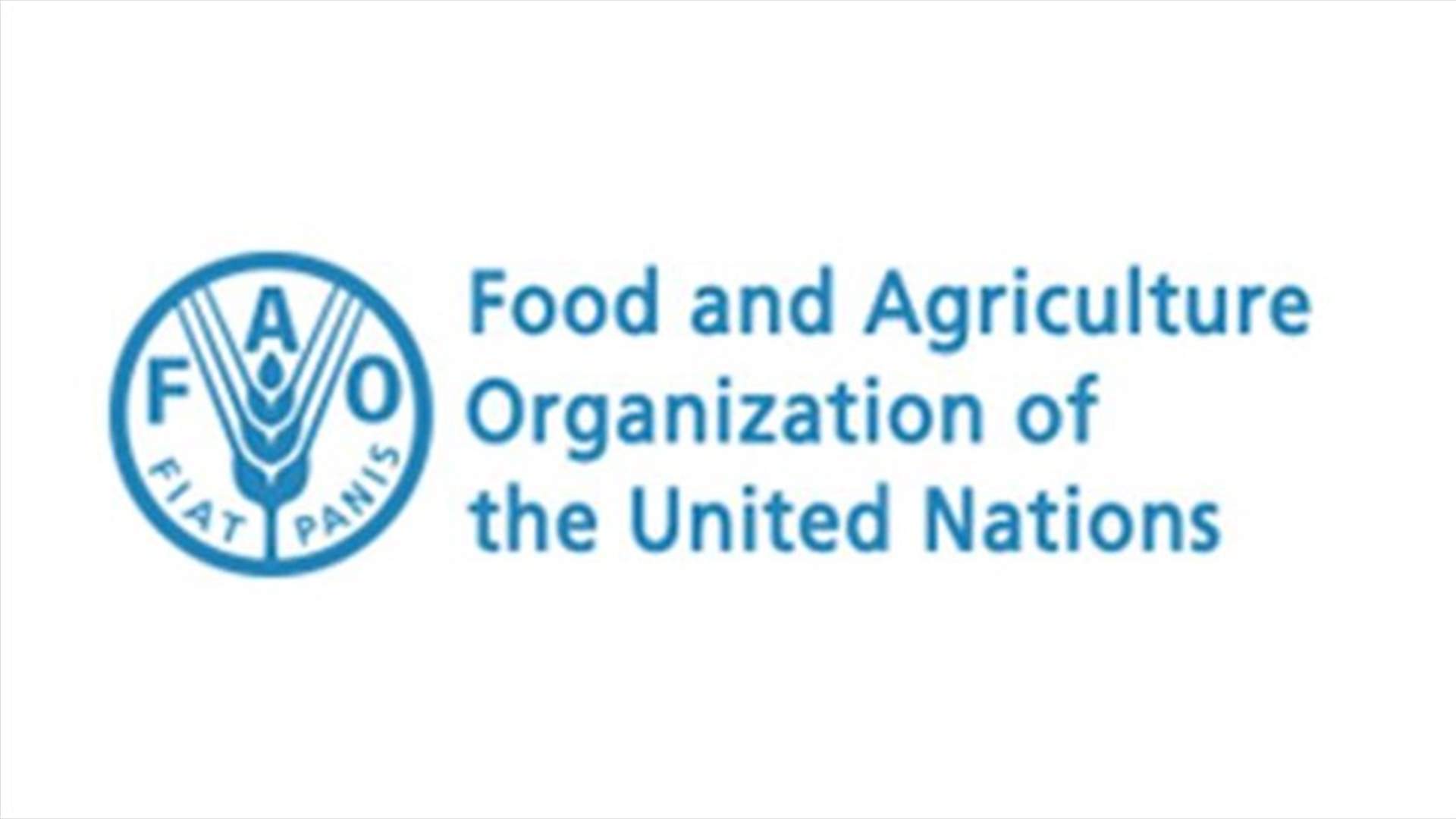 World food prices extend fall in January - UN's FAO