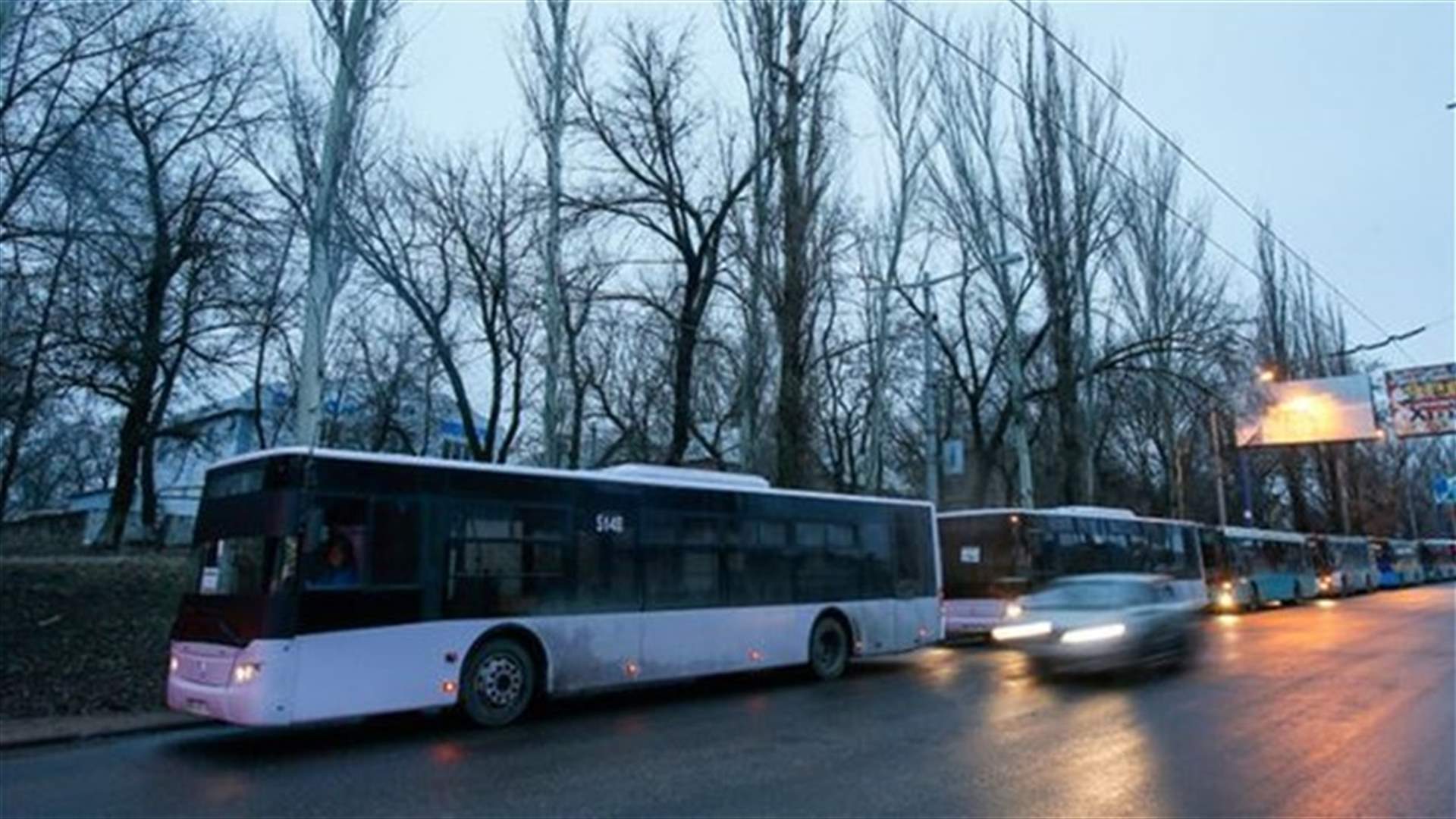 Arming Ukraine could backfire - German minister