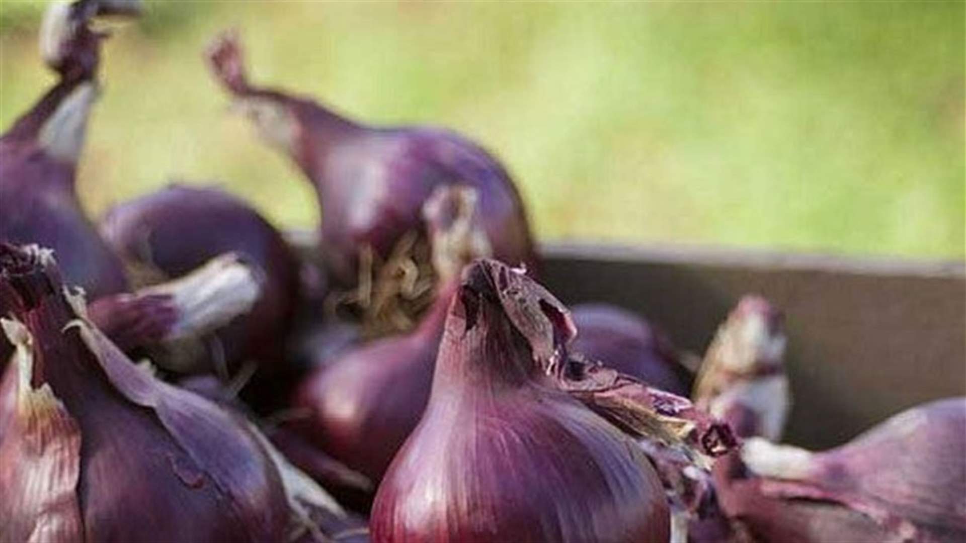 جديد في الاسواق ... بصل لا يتسبب بدموع ولا برائحة كريهة