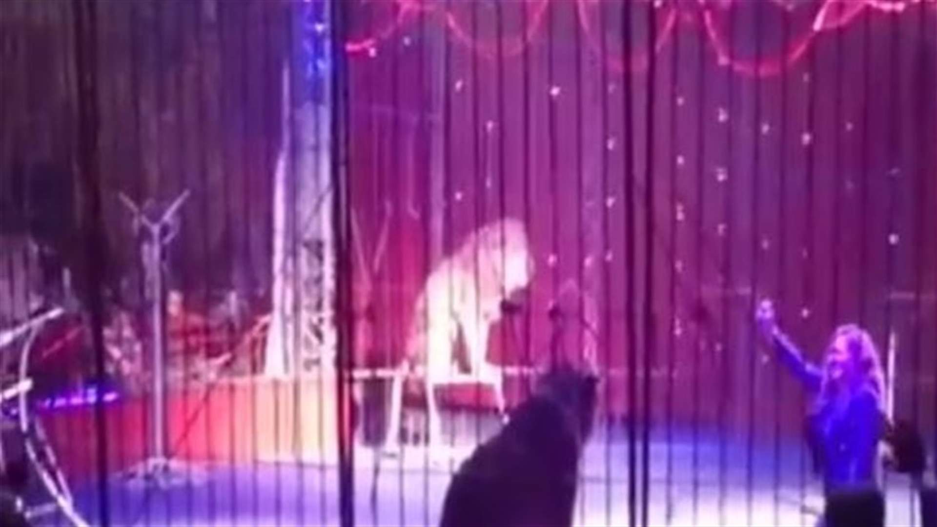 VIDEO: Circus Performer Attacked By Lion While Performing Her Popular Act