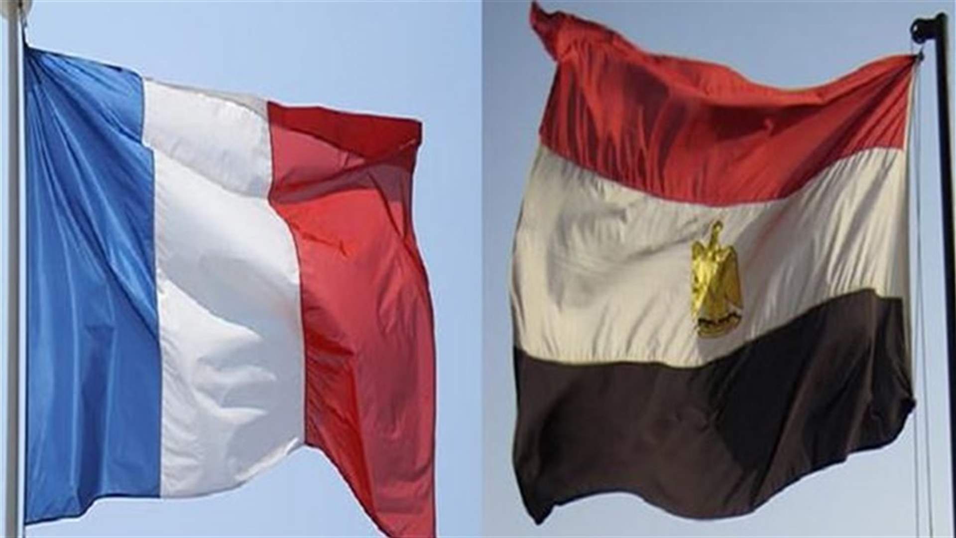 France, Egypt agree Rafale, military hardware deal - source