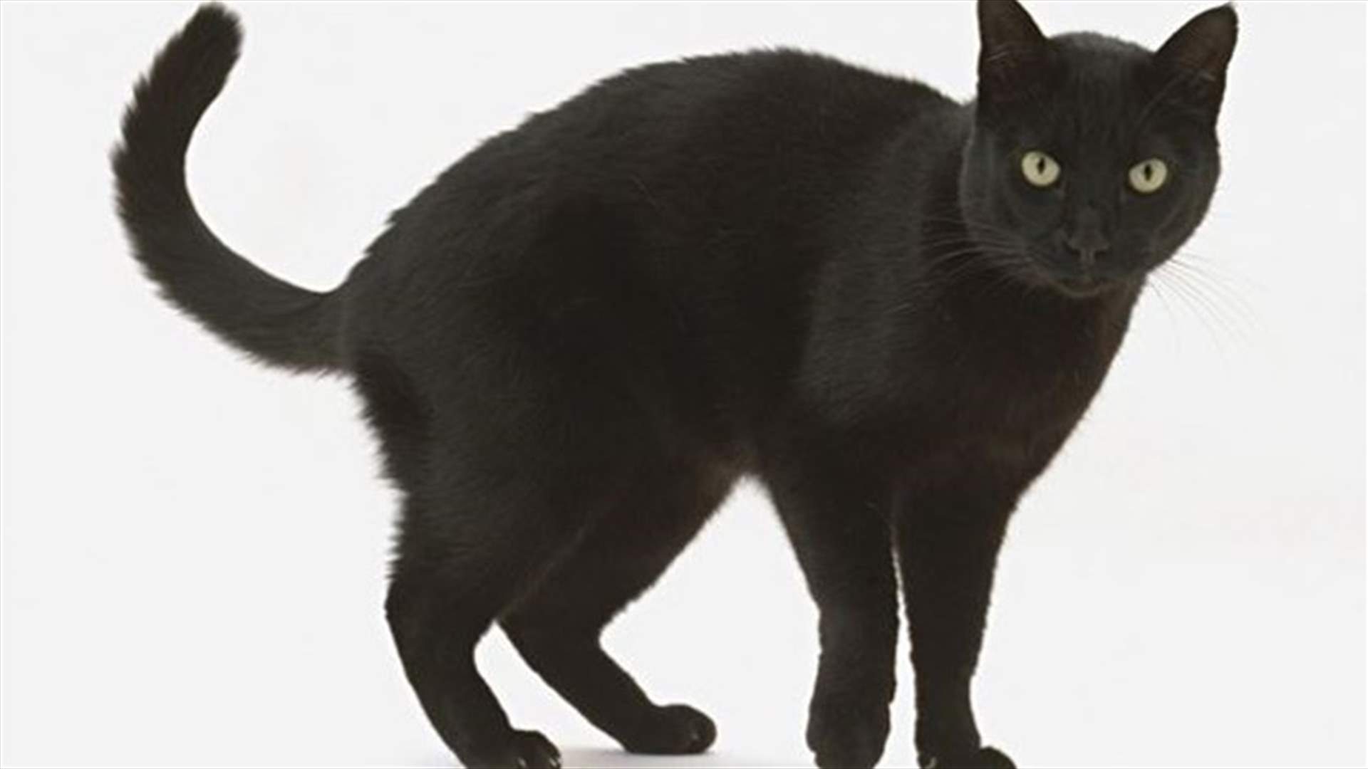 Superstition Times 3: 2015 Calendar Has 3 Friday The 13ths
