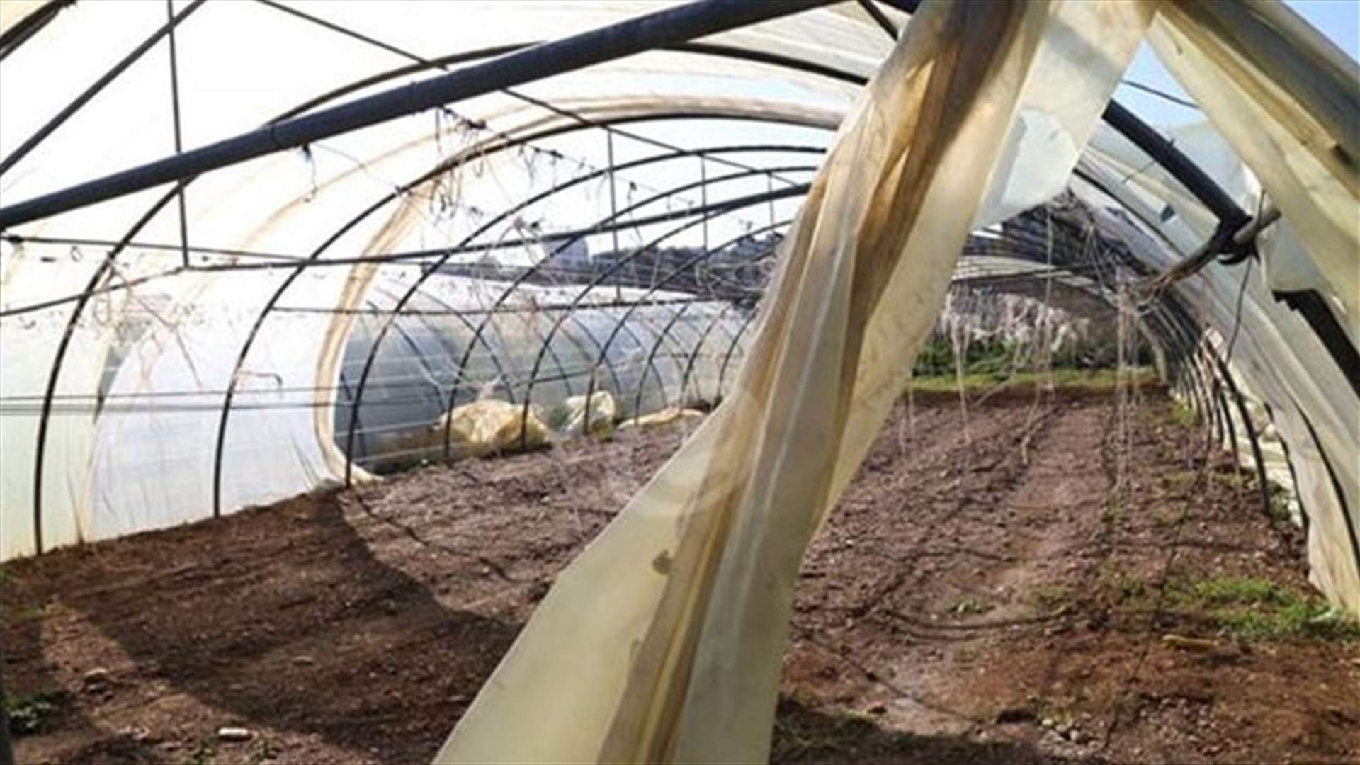العاصفة يوهان تلحق أضرارًا بالمواسم الزراعية 