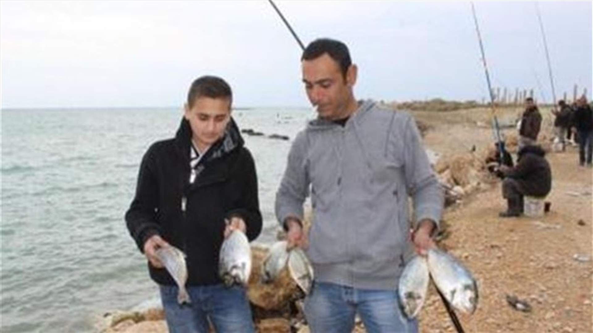 أسماك من شمال فلسطين تغزو صور 