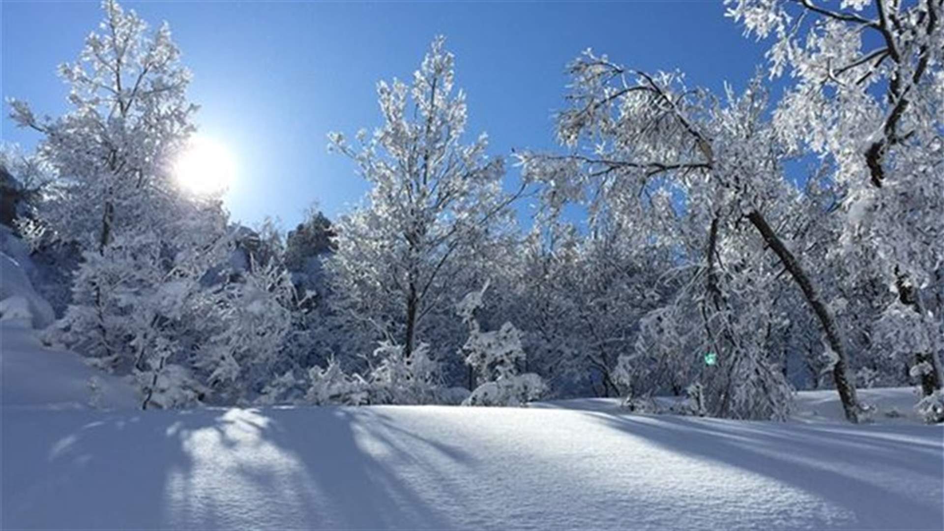 بعد وداع ويندي.. جليدٌ شمسٌ فدفء.. قبل عودة المطر