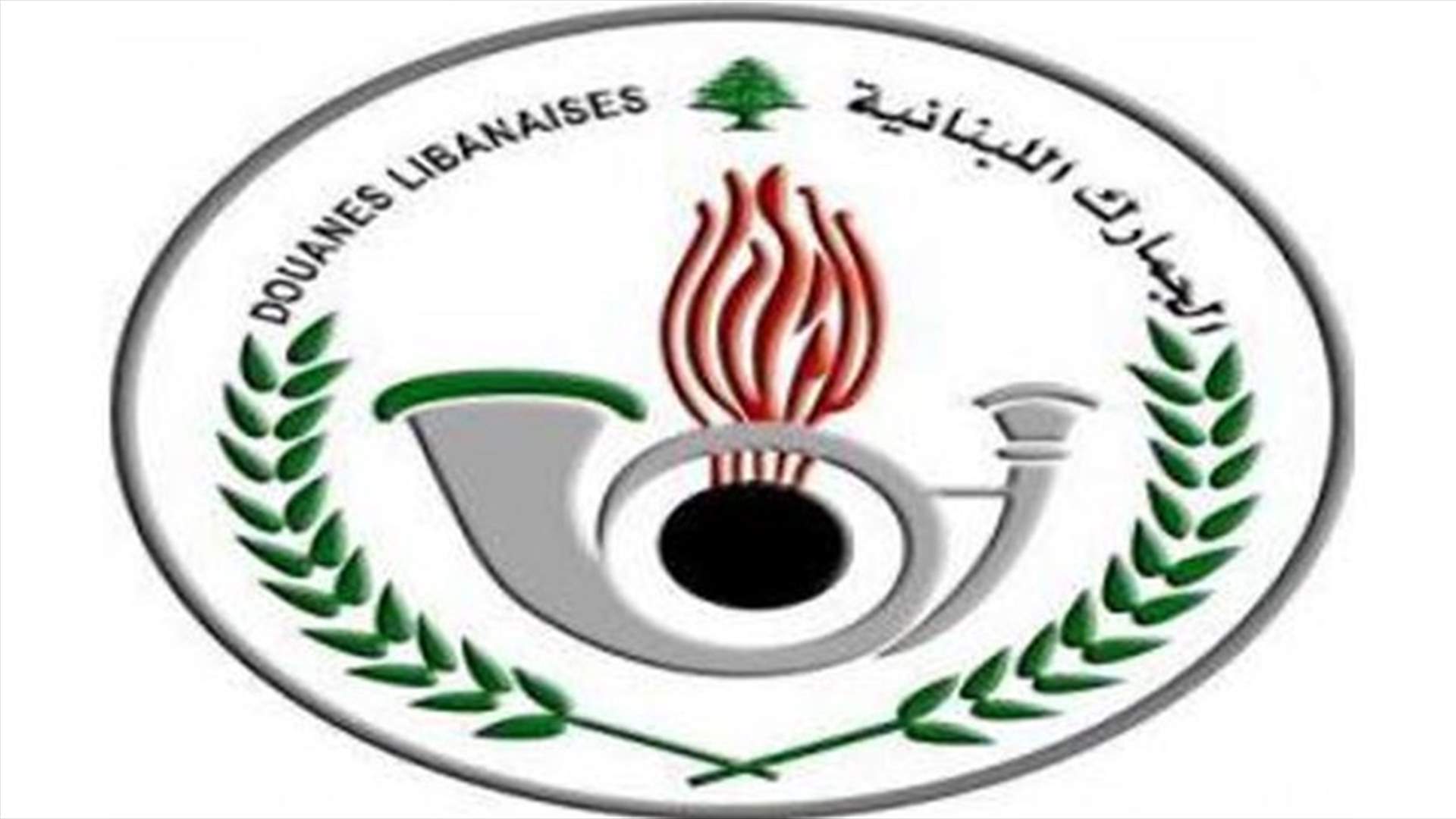الجمارك ضبطت 7 كلغ من المخدرات في المطار