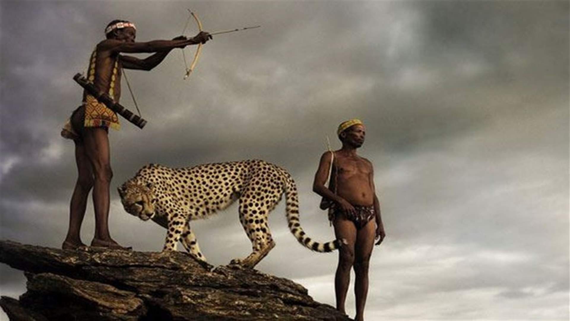 [VIDEO] Fearless Hunters Get Along With Fully Grown Cheetahs!
