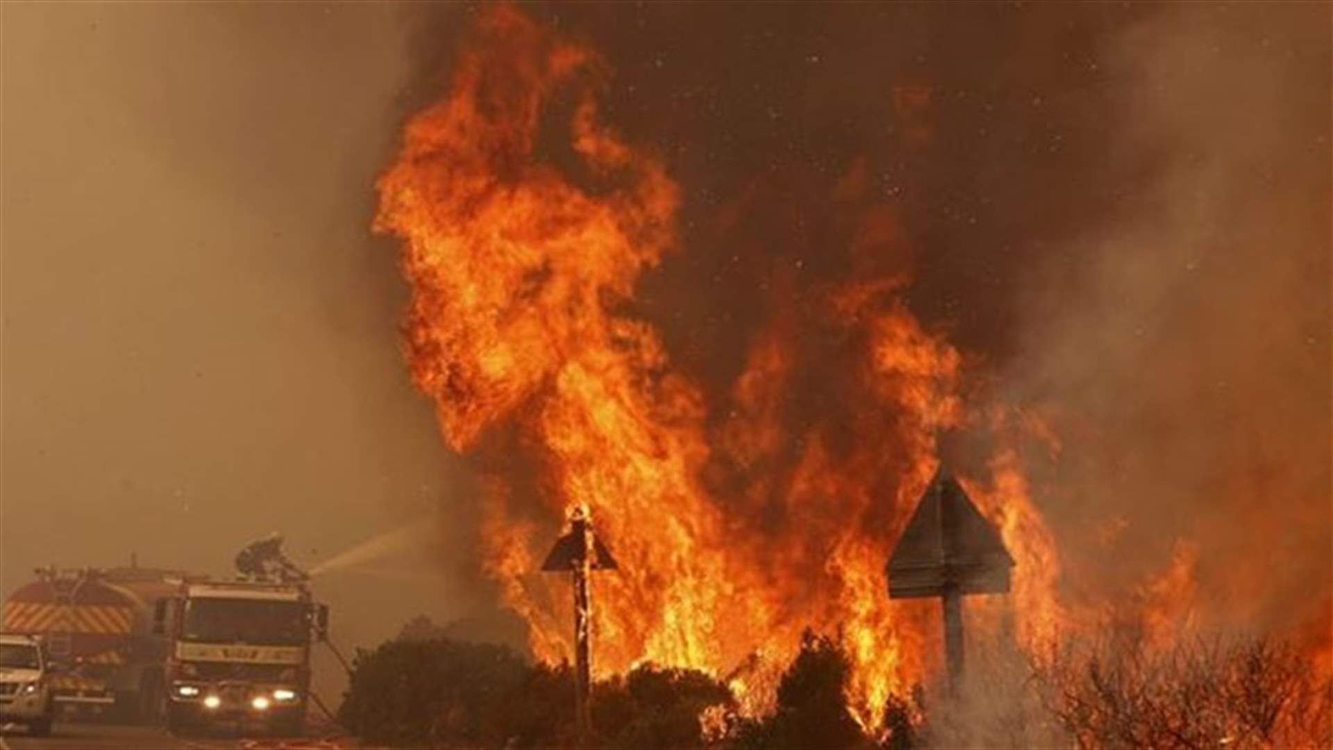 South Africa: Wildfire destroys 5 homes in Cape Town