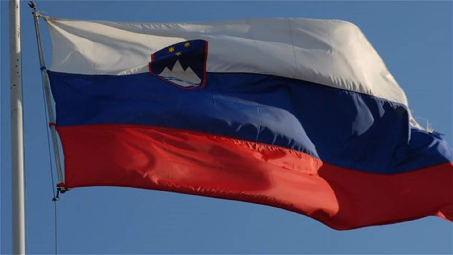 Slovenia allows same-sex couples to marry, adopt children
