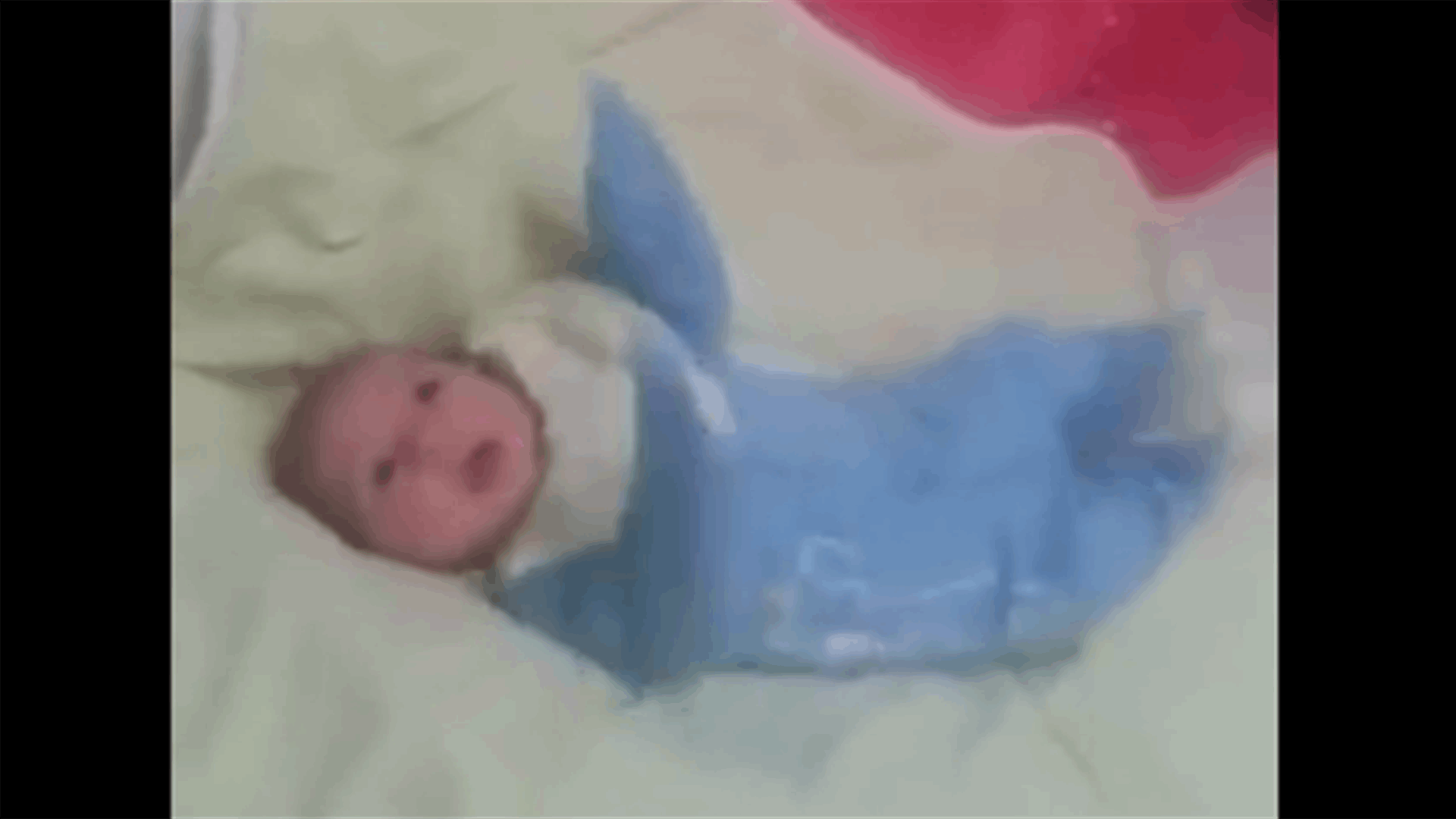 بالفيديو: حتى الرضيع رقص على &quot;بشرة خير&quot;!
