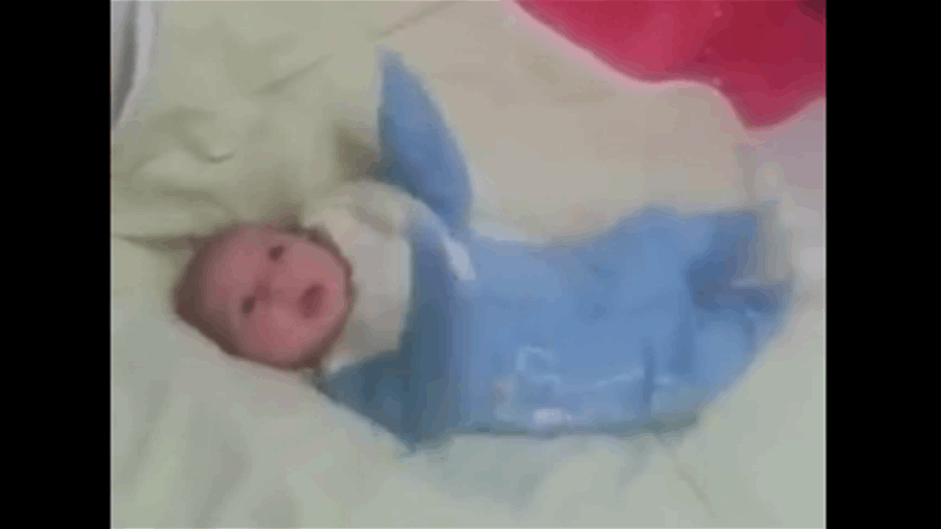 بالفيديو: حتى الرضيع رقص على "بشرة خير"!