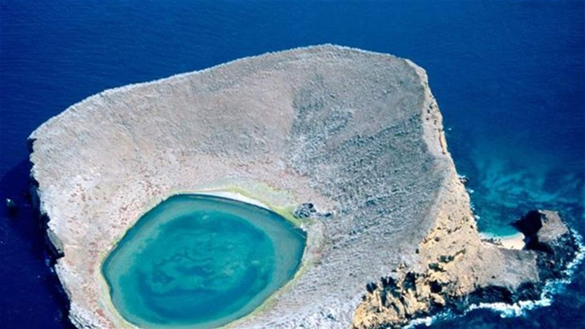 The Galapagos Islands