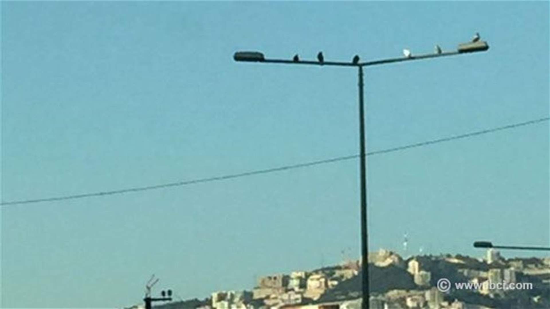 غطّ الحمام... طار الحمام في جونية