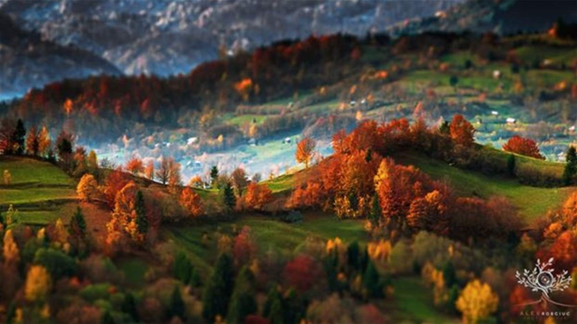 [PHOTOS] Man Captures The Amazing Beauty Of The Great Outdoors And Shares Photos! 