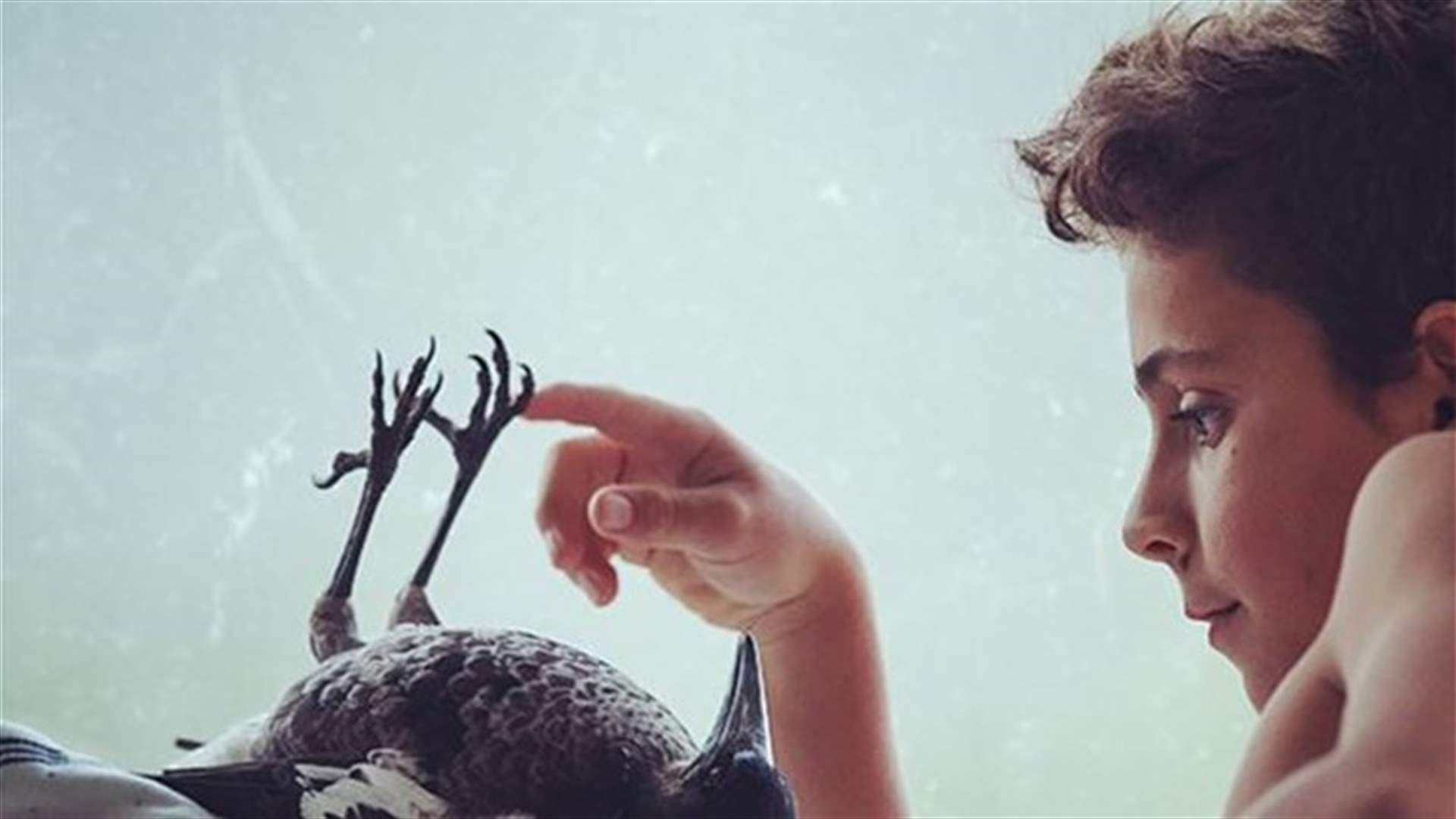 The Amazing Story Of A Bird Who Became Part Of His Rescuer's Family