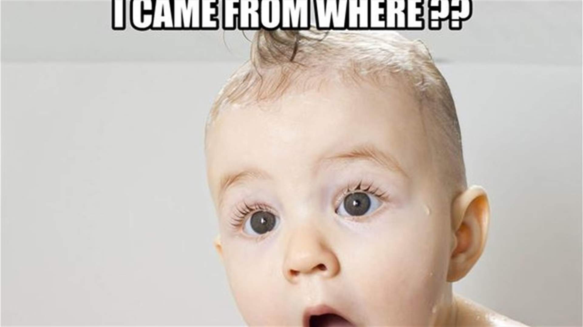 When Your Child Pops The Question : Where Do Babies Come From 