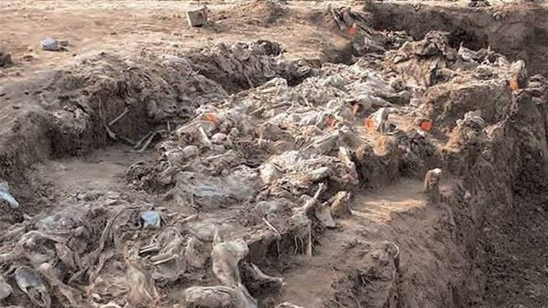 العثور على مئة جثة مدفونة في مزرعة في جنوب افريقيا