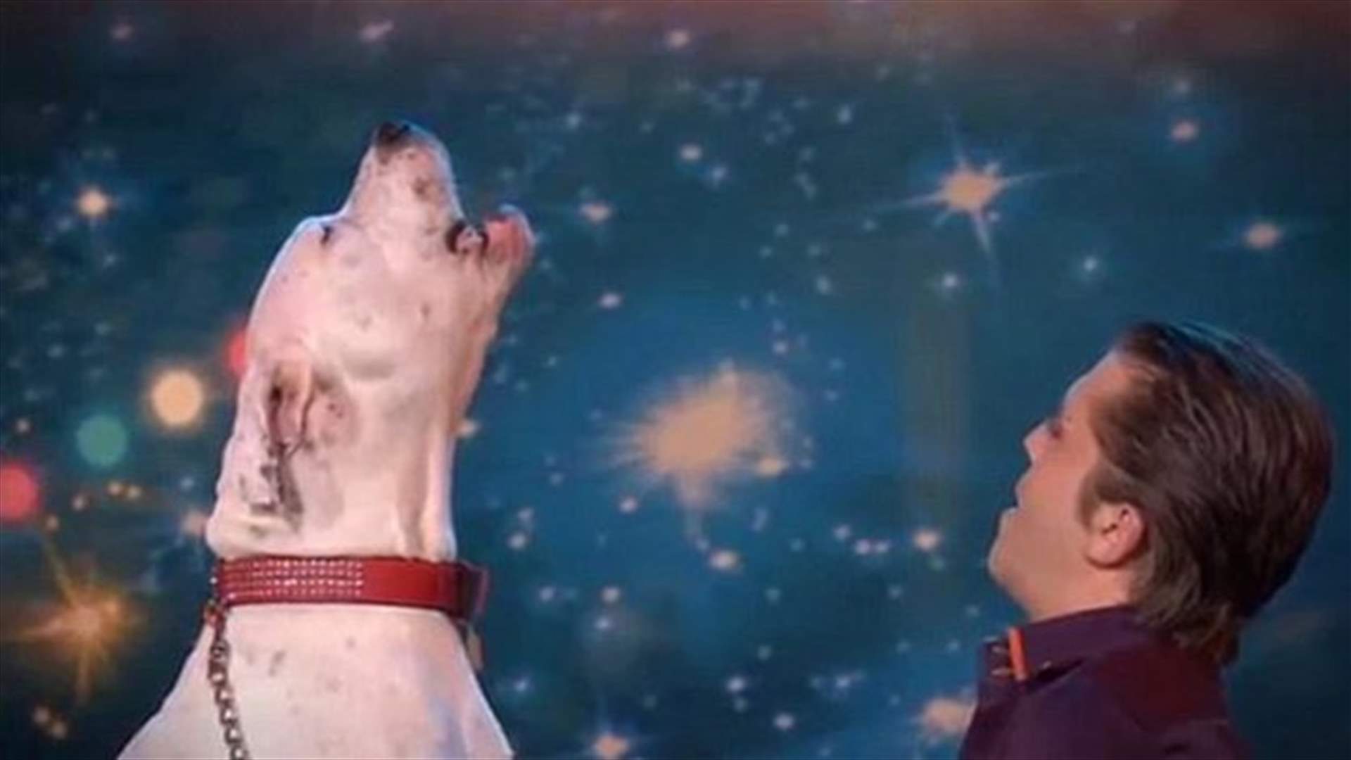[VIDEO] Dog Sings Whitney Houston's 'I Will Always Love You' On TV Show