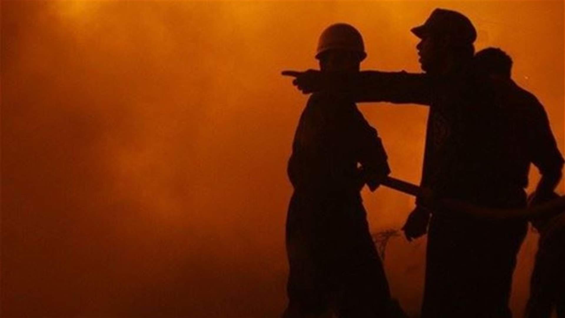 Wild fire spreads from North Korea to South, border passages closed - officials