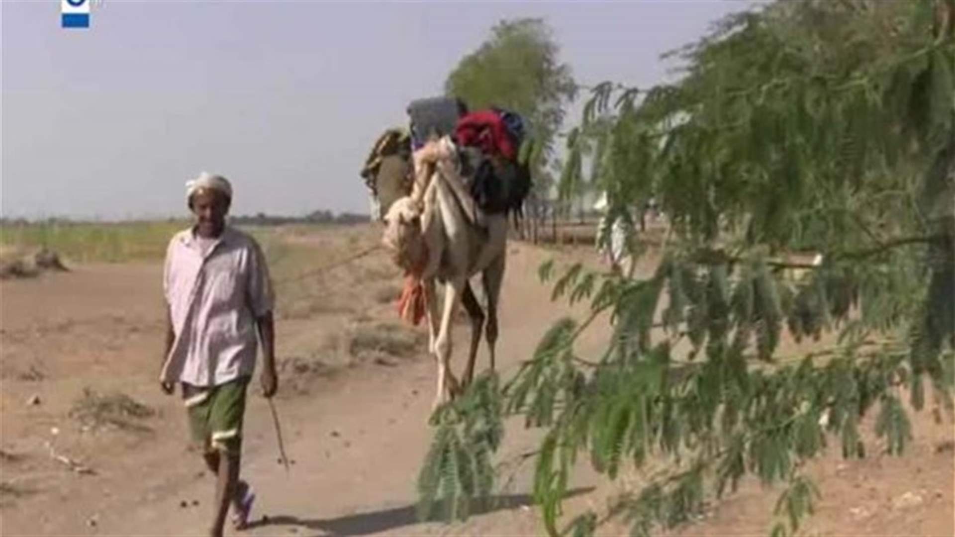 كيف تعيش دولة اليمن وما هو الواقع فيها من كل النواحي؟