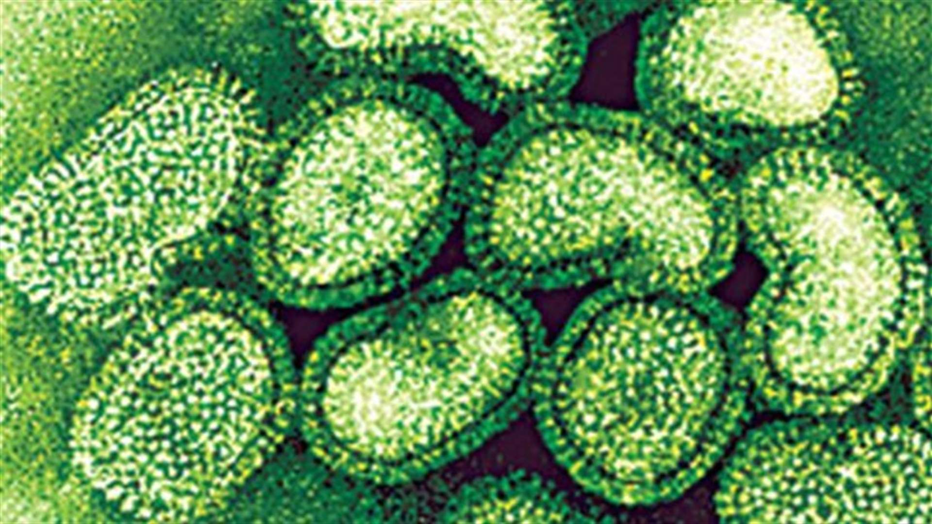 Two Syrians die from H1N1 swine flu