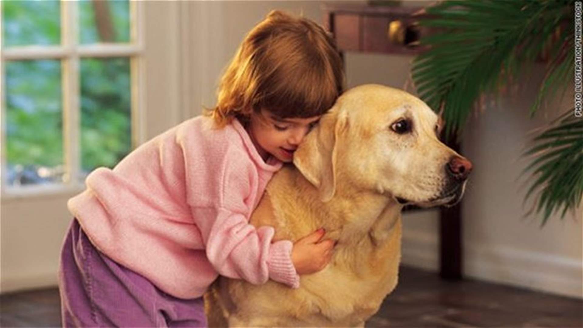 [PHOTOS] The Top Ten Dogs For Children 
