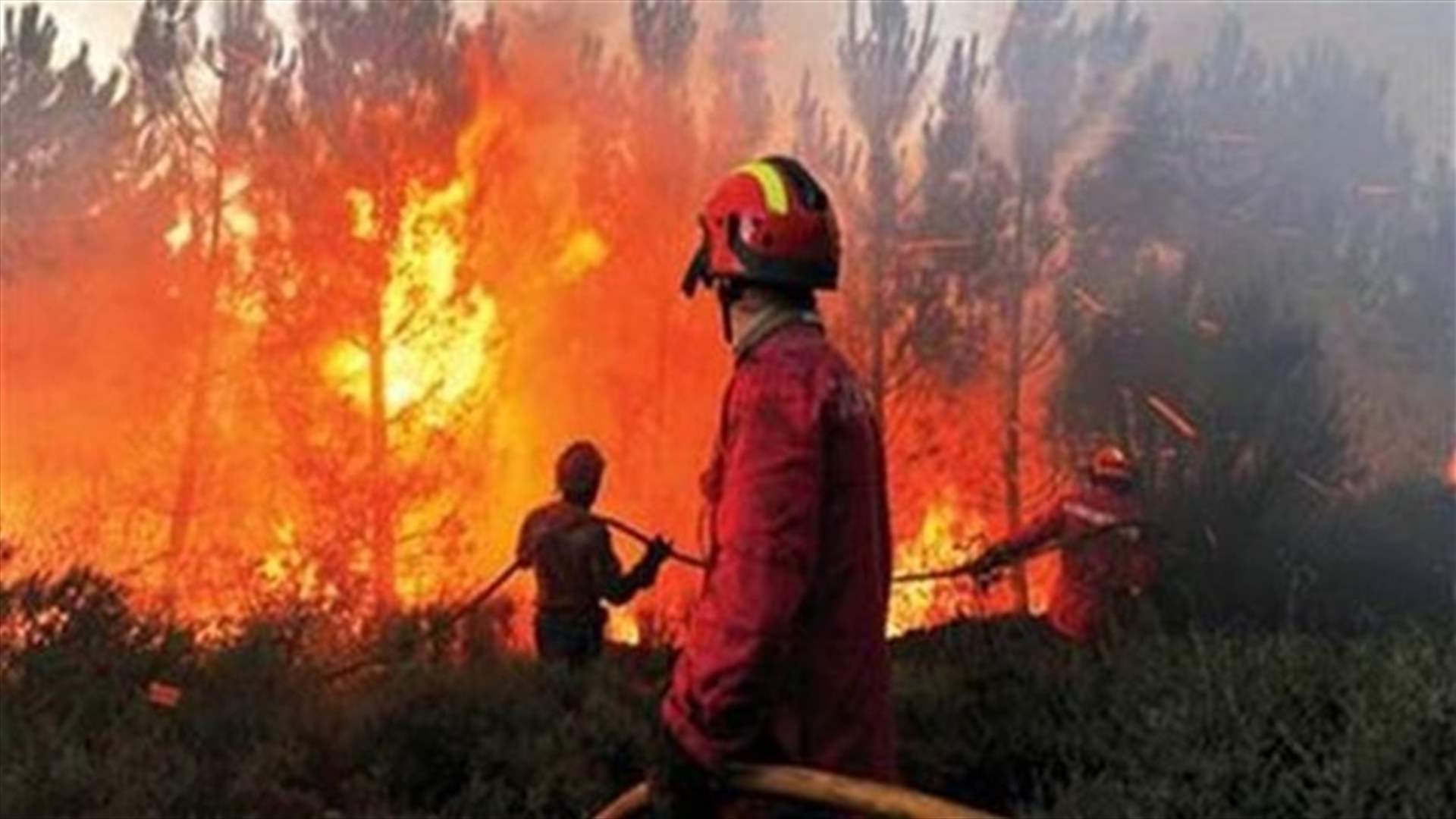 مقتل 15 شخصا بسبب حرائق غابات في روسيا