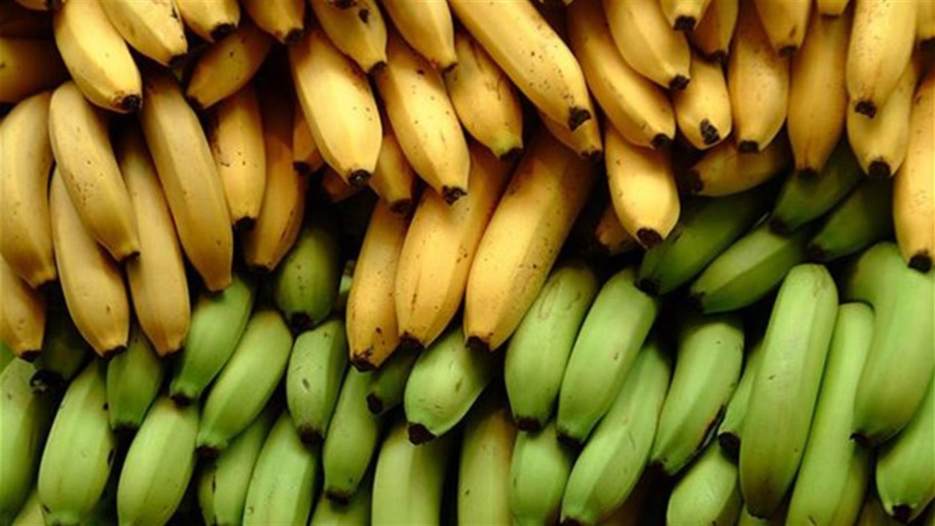 متى يجب تناول الموز وأي نوع هو الأفضل؟