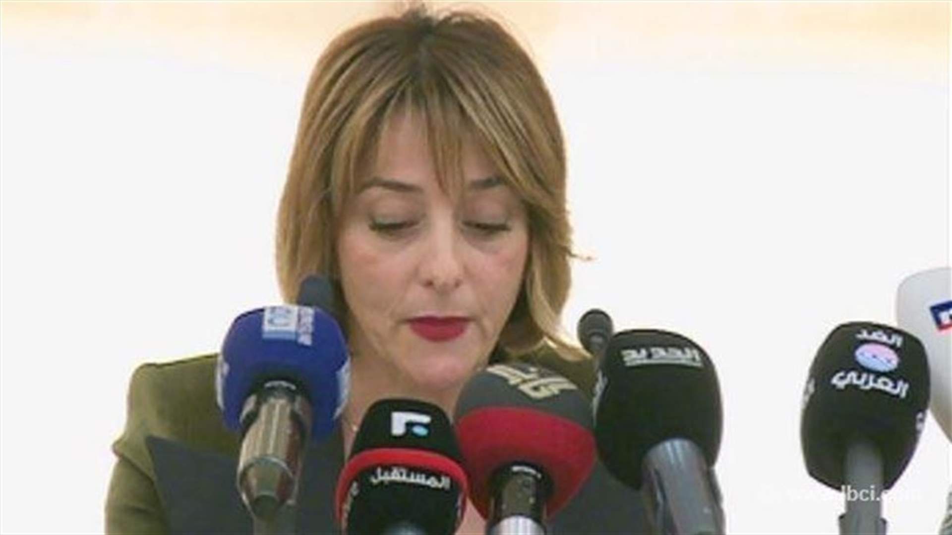 جمعية "جنسيتي حق لي ولاسرتي" رفضت مشروع قانون إستعادة الجنسية للمتحدرين في المهجر